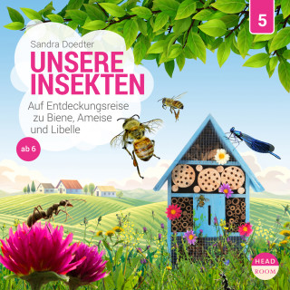 Sandra Doedter: Unsere Welt, Folge 5: Unsere Insekten - Auf Entdeckungsreise zu Biene, Ameise und Libelle (Ungekürzt)