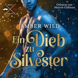 Amber Wild: Ein Dieb zu Silvester - Humorvolle Gay Romance zu Weihnachten (ungekürzt)