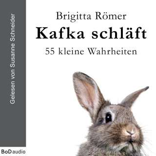 Brigitta Römer: Kafka schläft (Ungekürzt)