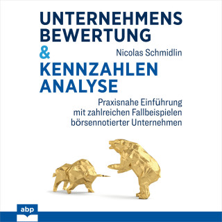 Nicolas Schmidlin: Unternehmensbewertung & Kennzahlenanalyse - Praxisnahe Einführung mit zahlreichen Fallbeispielen börsennotierter Unternehmen (Ungekürzt)