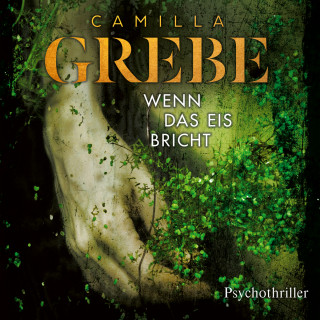 Camilla Grebe: Wenn das Eis bricht - Die Profilerin, Band 1 (ungekürzt)
