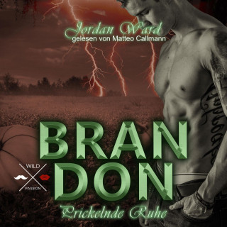 Jordan Ward: Brandon - Secret Desire - Prickelnde Ruhe, Band 3 (ungekürzt)