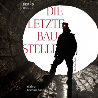 Bernd Hesse: Die letzte Baustelle - Authentische Kriminalfälle, Band 3 (ungekürzt)