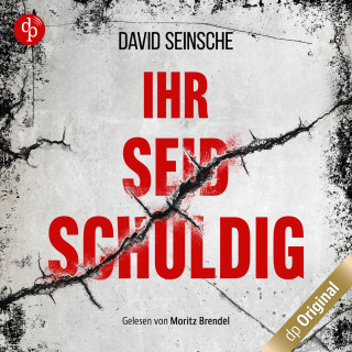 David Seinsche: Ihr seid schuldig (Ungekürzt)