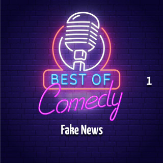 Diverse: Best of Comedy: Fake News 1