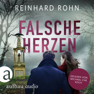 Reinhard Rohn: Falsche Herzen - Jan Schiller ermittelt, Band 1 (Ungekürzt)