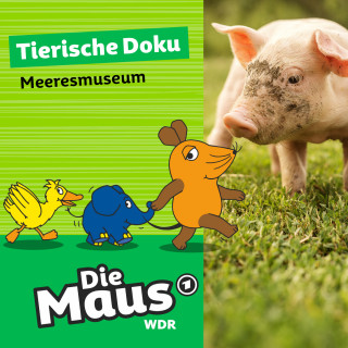 Die Maus: Die Maus, Tierische Doku - Meeresmuseum