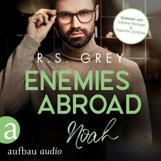 R.S. Grey: Enemies abroad - Handsome Heroes, Band 6 (Ungekürzt)
