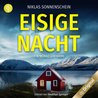 Niklas Sonnenschein: Eisige Nacht - Ein Norwegen-Krimi - Karl Sortland ermittelt-Reihe, Band 1 (Ungekürzt)