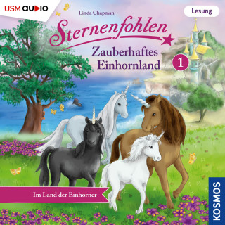 Linda Chapman, Cordula Setsman: Im Land der Einhörner - Sternenfohlen - Zauberhaftes Einhornland, Teil 1 (ungekürzt)