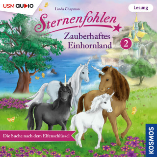 Linda Chapman, Cordula Setsman: Die Suche nach dem Elfenschlüssel - Sternenfohlen - Zauberhaftes Einhornland, Teil 2 (ungekürzt)