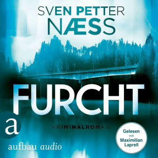 Sven Petter Naess: Furcht - Team Oslo ermittelt, Band 2 (Gekürzt)