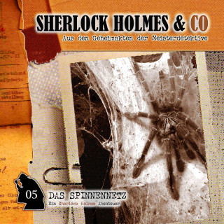 Markus Winter: Sherlock Holmes & Co, Folge 5: Das Spinnennetz