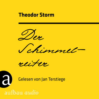 Theodor Storm: Der Schimmelreiter (Ungekürzt)