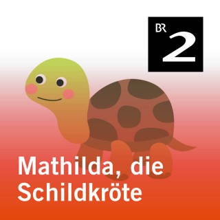 Andrea Pomplun: Mathilda, die Schildkröte