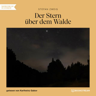 Stefan Zweig: Der Stern über dem Walde (Ungekürzt)