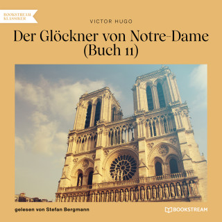 Victor Hugo: Der Glöckner von Notre-Dame, Buch 11 (Ungekürzt)