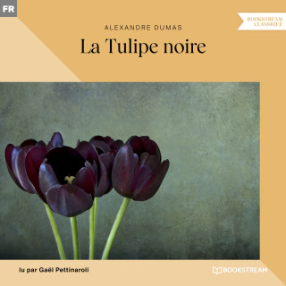 Alexandre Dumas: La Tulipe noire (Version intégrale)