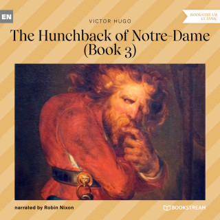 Victor Hugo: The Hunchback of Notre-Dame, Book 3 (Unabridged)