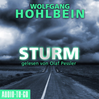 Wolfgang Hohlbein: Sturm (Gekürzt)