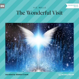 H. G. Wells: The Wonderful Visit (Unabridged)