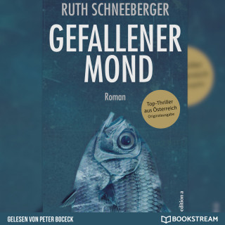 Ruth Schneeberger: Gefallener Mond - Roman (Ungekürzt)