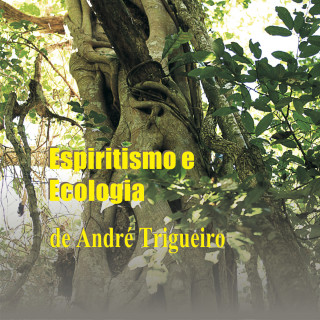 André Trigueiro: Espiritismo e ecologia (Integral)