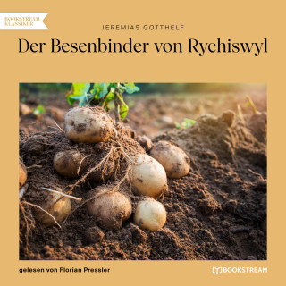 Jeremias Gotthelf: Der Besenbinder von Rychiswyl (Ungekürzt)