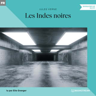 Jules Verne: Les Indes noires